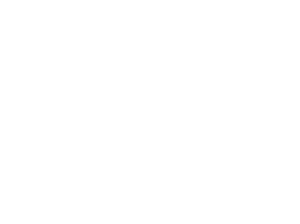 Top Star Auto Transport Logo